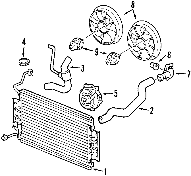 Pontiac Grand Am Radiator Coolant Hose (Lower). 2.2 & 2.4 LITER, 2.2